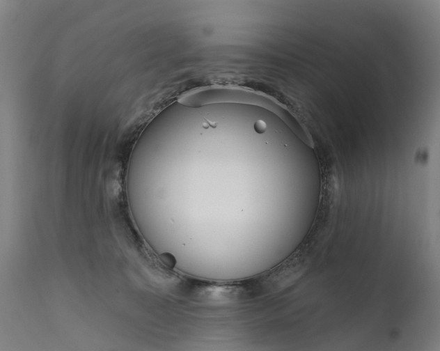 X0000111640323200907311258