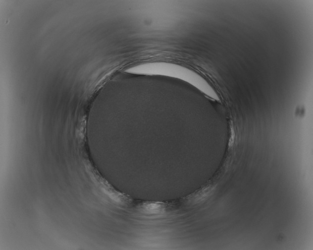 X0000111640325200907311258