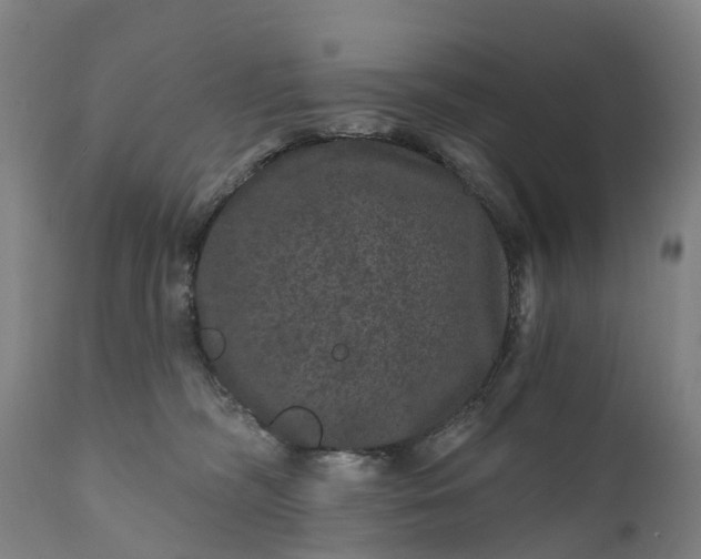 X0000111640326200907311258