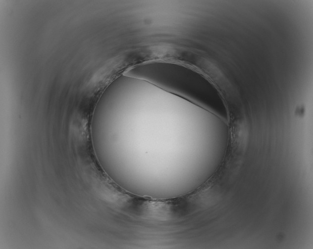 X0000111640327200907311258