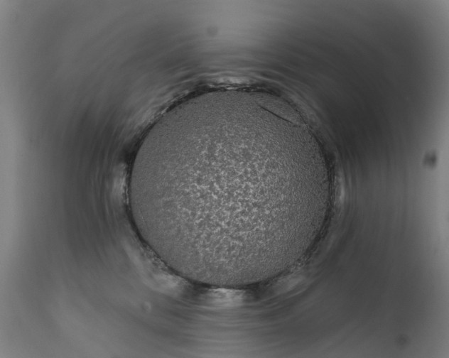 X0000111640328200907311258