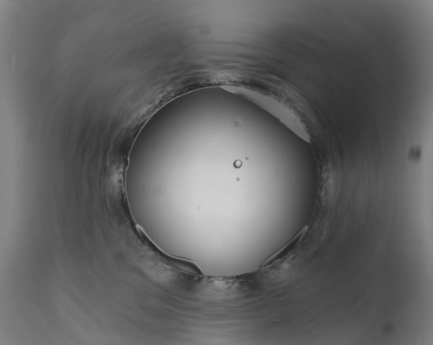 X0000111640329200907311258