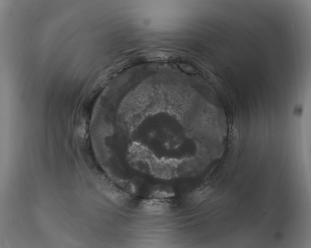 X0000111640331200907311258