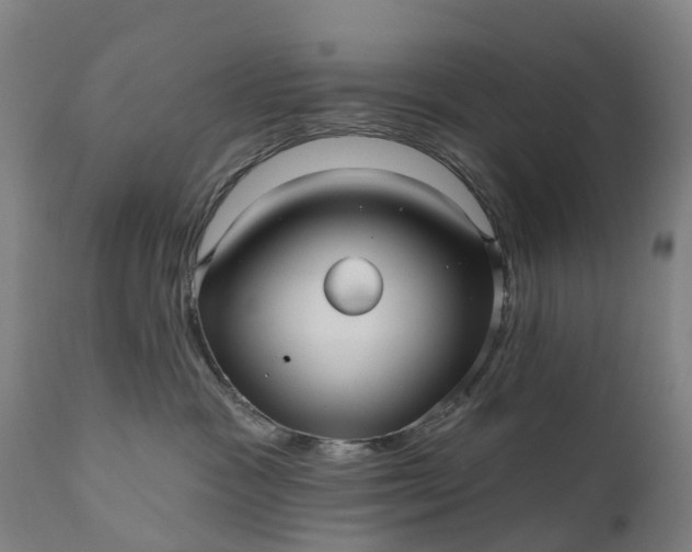 X0000111640333200907311258