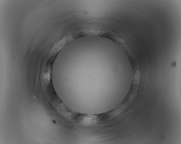 X0000111640334200907311258