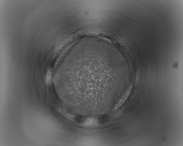 X0000111640335200907311258