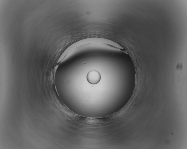 X0000111640336200907311258