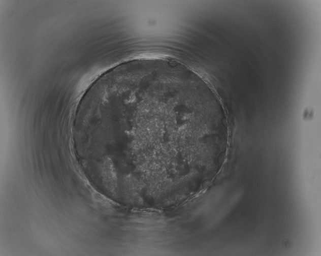 X0000111640337200907311257