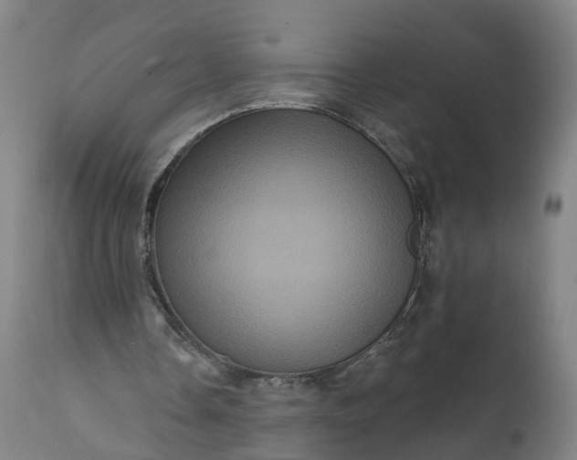 X0000111640338200907311257