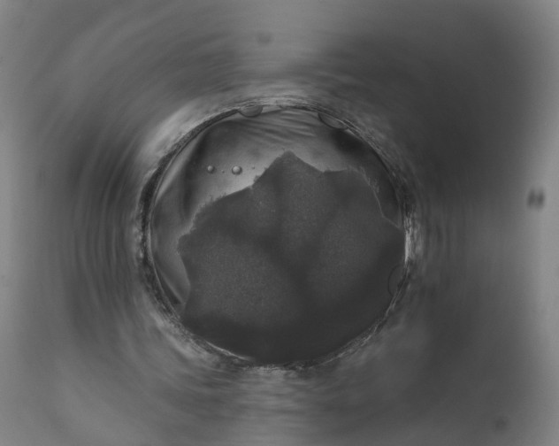 X0000111640339200907311257