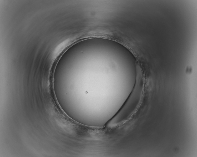 X0000111640340200907311257