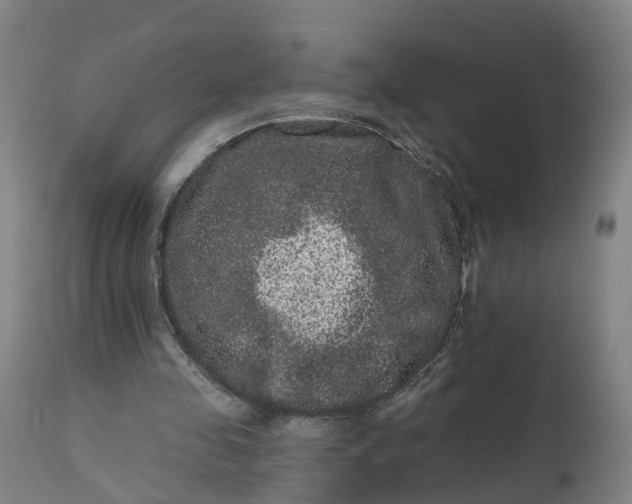 X0000111640341200907311257