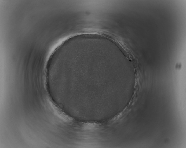 X0000111640342200907311257