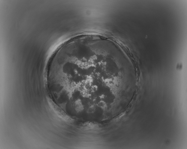 X0000111640343200907311257