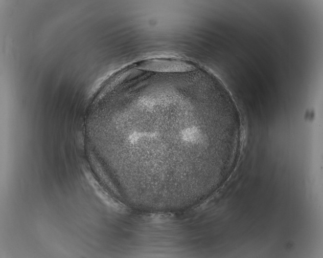 X0000111640345200907311257