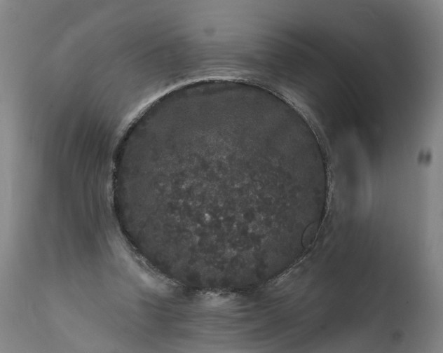 X0000111640346200907311257