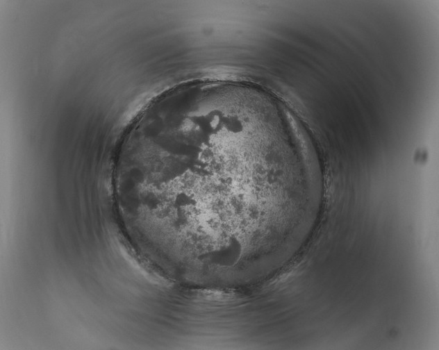 X0000111640347200907311257