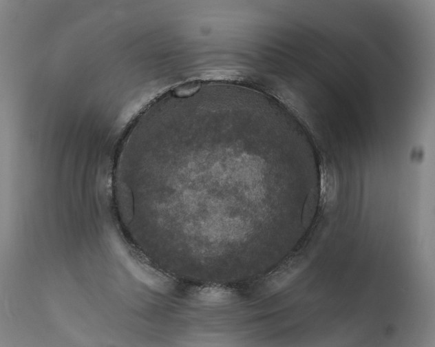 X0000111640348200907311257