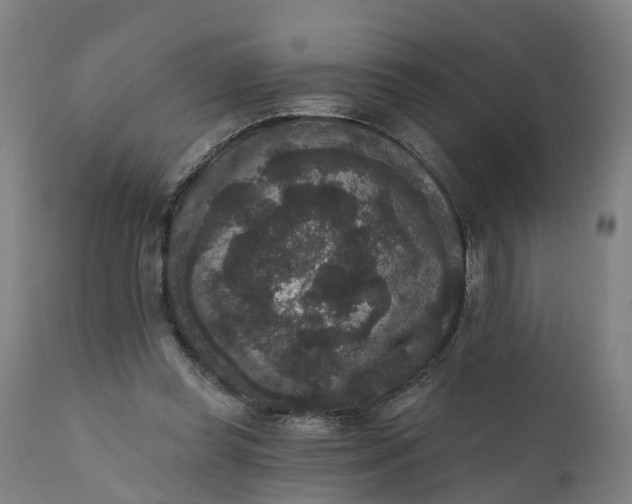 X0000111640349200907311257