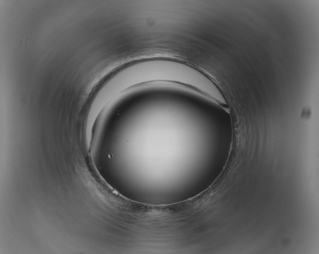 X0000111640350200907311257