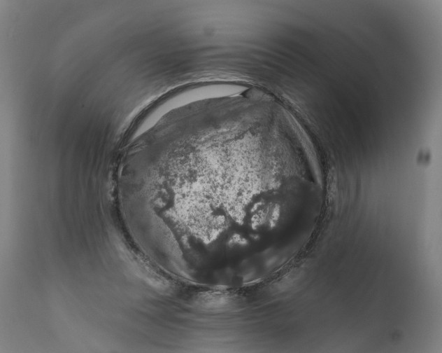 X0000111640351200907311257