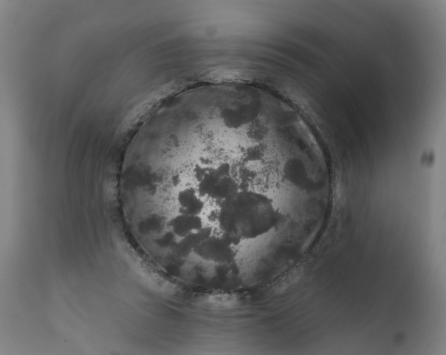 X0000111640353200907311257