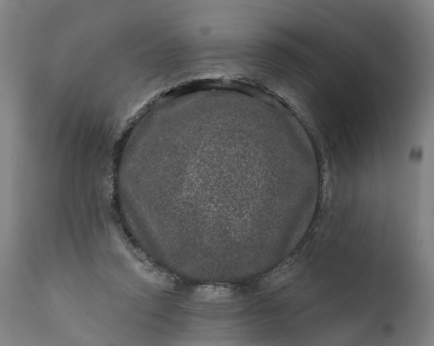 X0000111640354200907311257