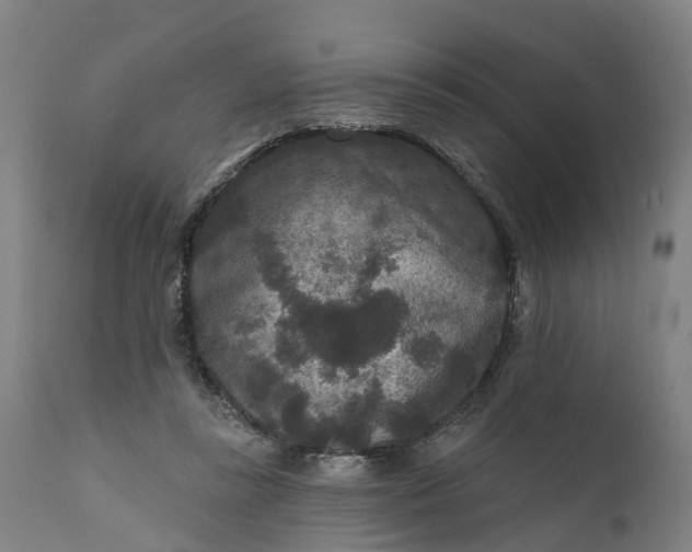 X0000111640355200907311257