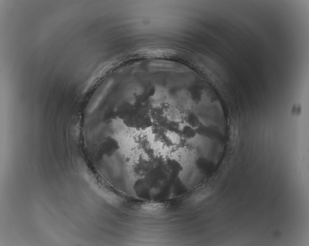 X0000111640357200907311258