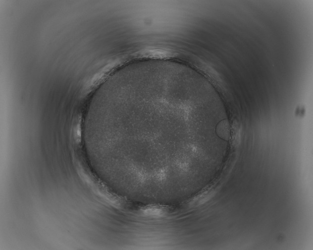 X0000111640358200907311258