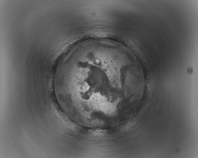 X0000111640359200907311258