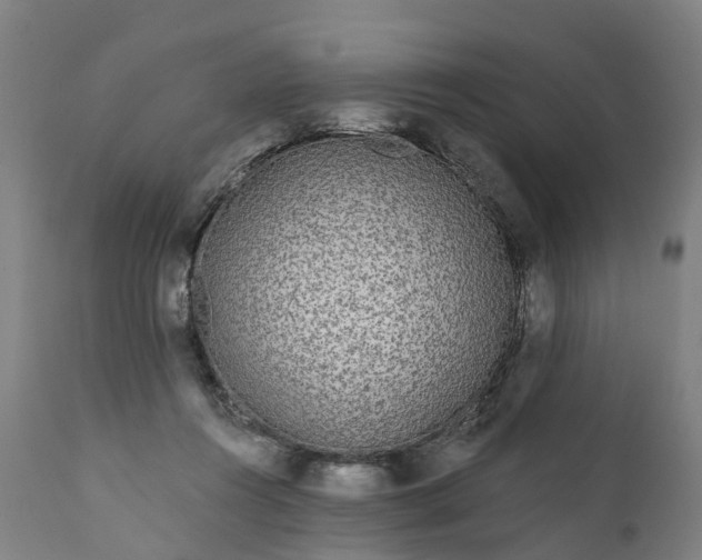 X0000111640360200907311258