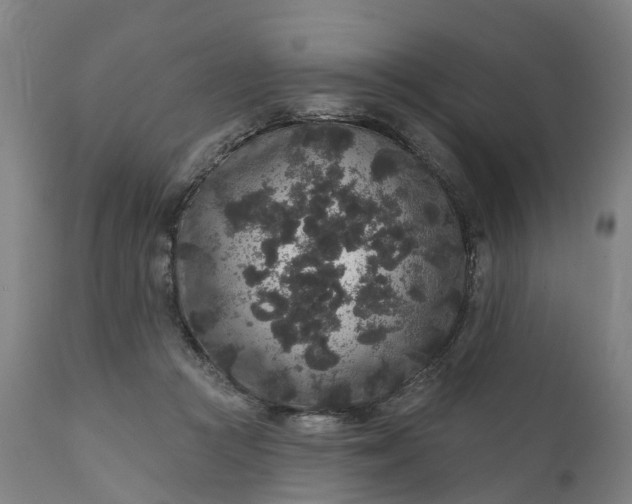 X0000111640361200907311258