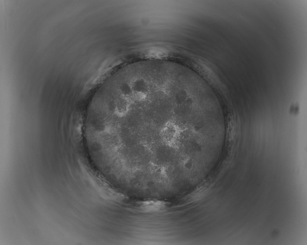 X0000111640363200907311258