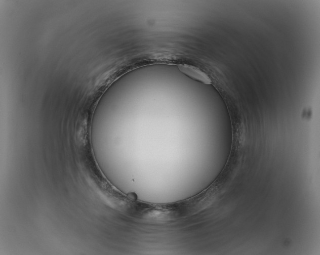 X0000111640364200907311258