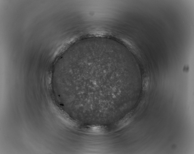 X0000111640365200907311258