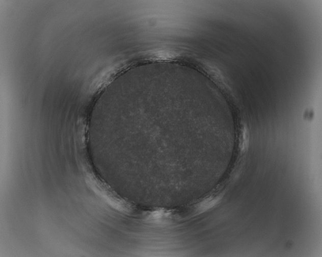 X0000111640366200907311258