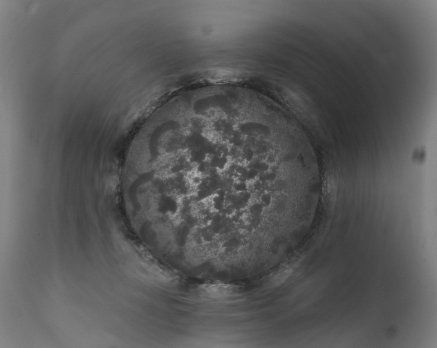 X0000111640367200907311258