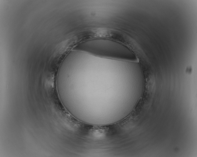 X0000111640368200907311258