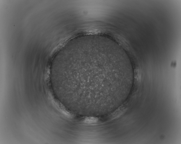 X0000111640369200907311258