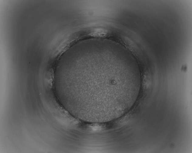 X0000111640370200907311258