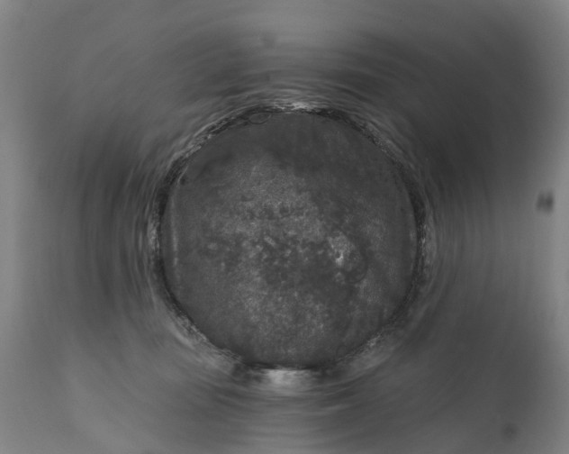 X0000111640371200907311258