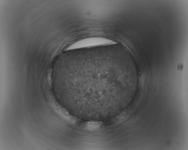 X0000111640373200907311258