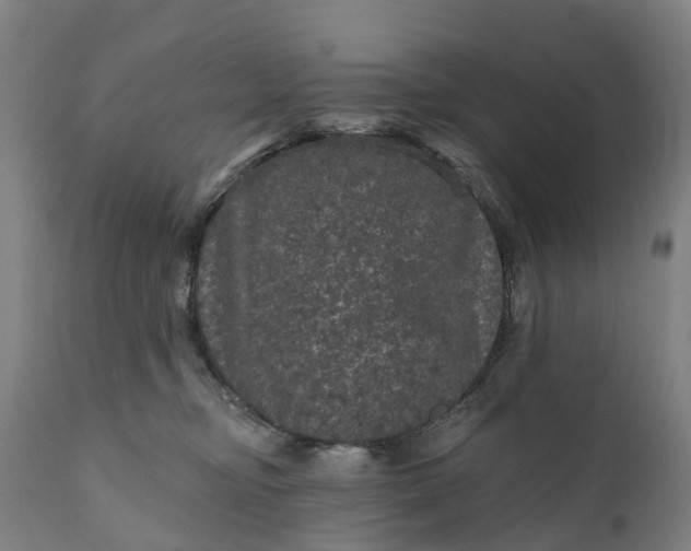 X0000111640374200907311258