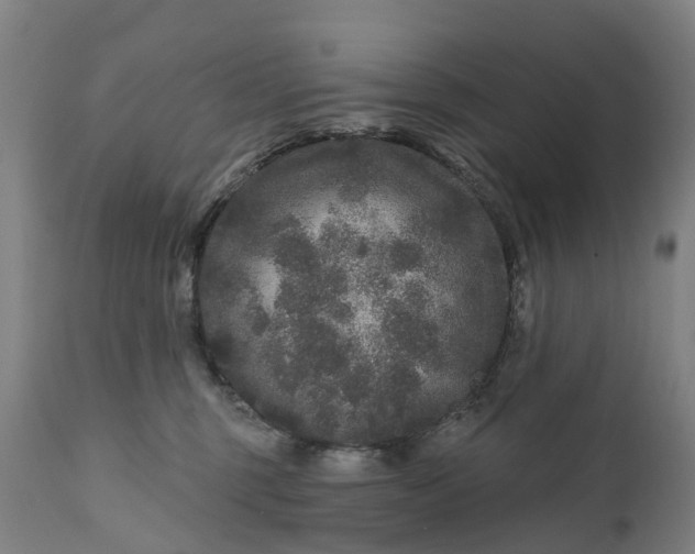 X0000111640375200907311258