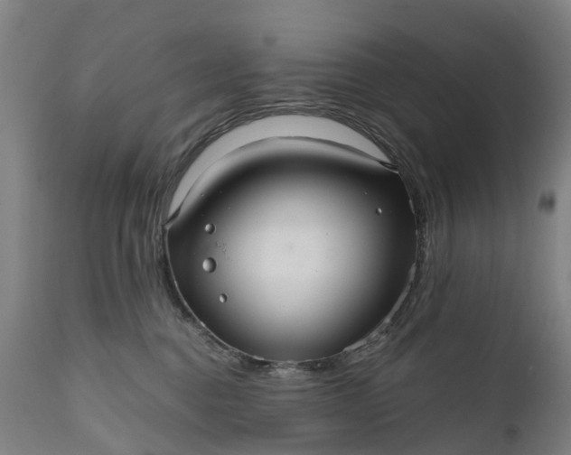 X0000111640376200907311258