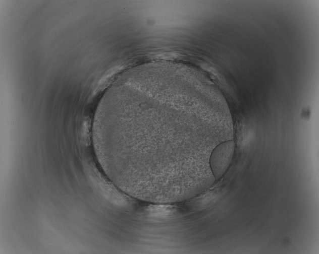 X0000111640378200907311258