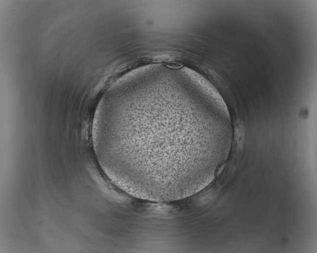 X0000111640379200907311258