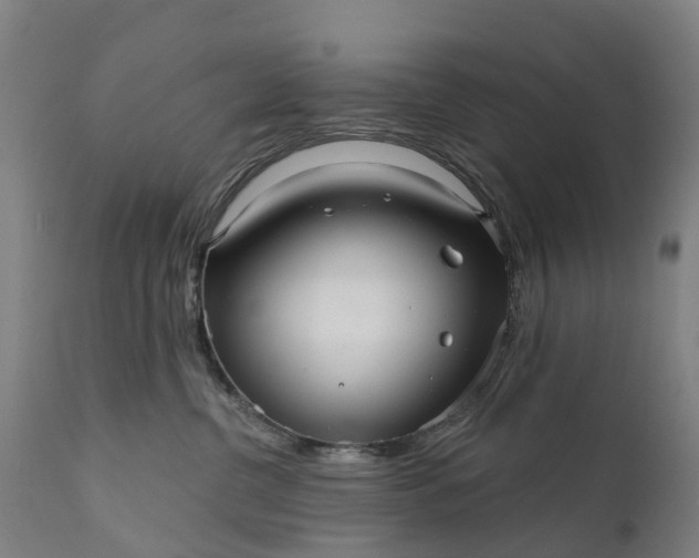 X0000111640380200907311258