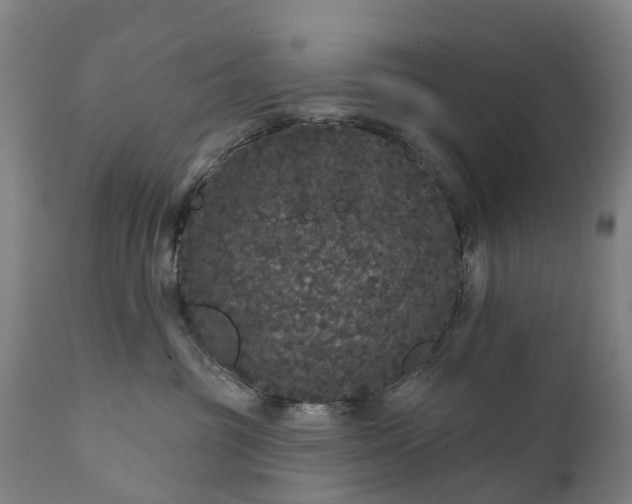 X0000111640381200907311258